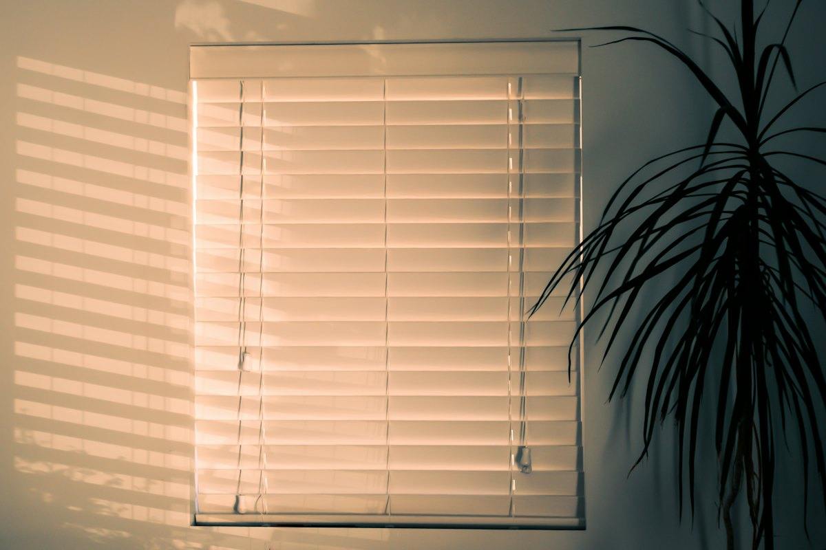 Window blinds with a plant